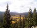 Driving to see the Changing Aspen Trees