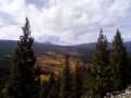Driving to see the Changing Aspen Trees