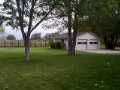 Beautiful Green Backyard