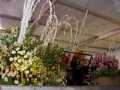 The Back of the Wedding Float