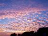 Beautiful sunset