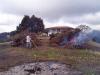 Burning brush