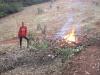 Burning brush
