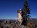King (or Queen) of the Mountain