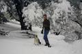 Bill snow skis
