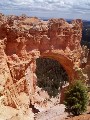 Arch